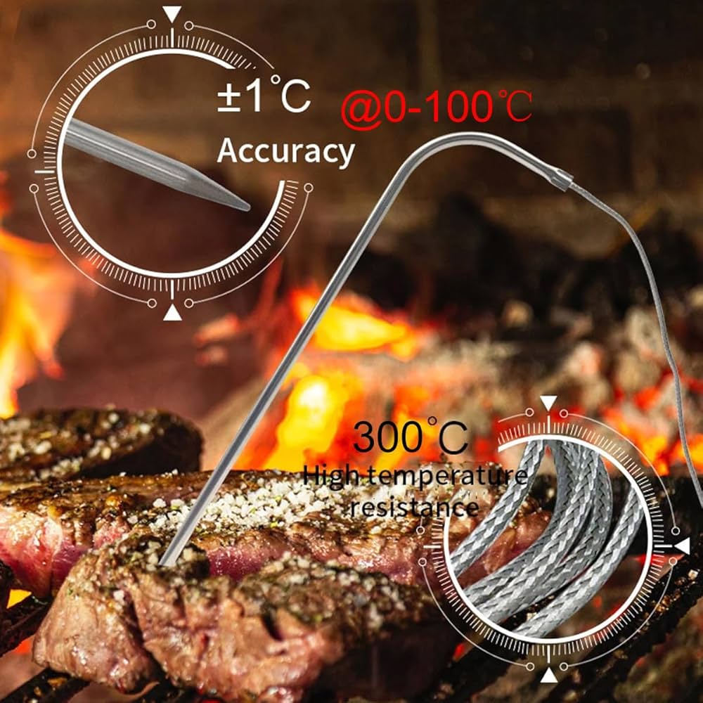 Digital LED Thermometer with Probe