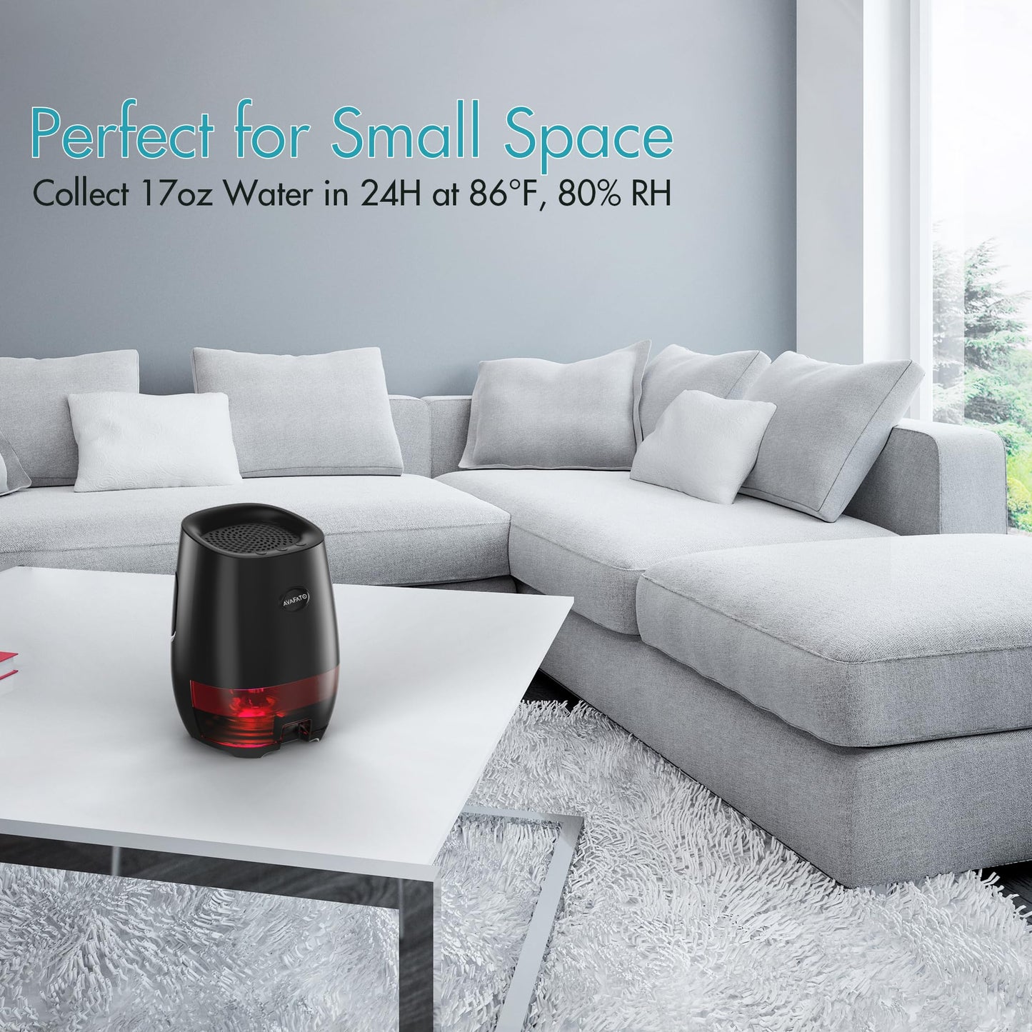 Dehumidifier C01 for Home, Bedroom, Bathroom 1000 ml