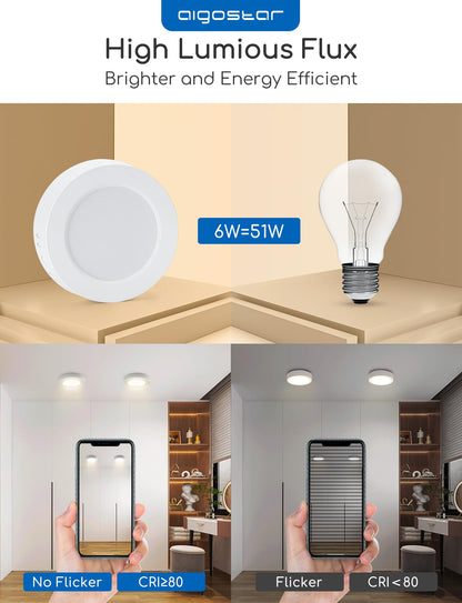 Aigostar LED Ceiling Light, 6W Equivalent to 51W Light Bulb, LED Ceiling Lights, 620 lm 2PCS