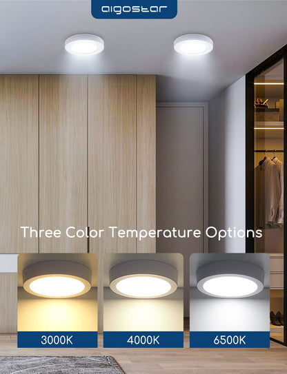Aigostar LED Ceiling Light, 6W Equivalent to 51W Light Bulb, LED Ceiling Lights, 620 lm 2PCS