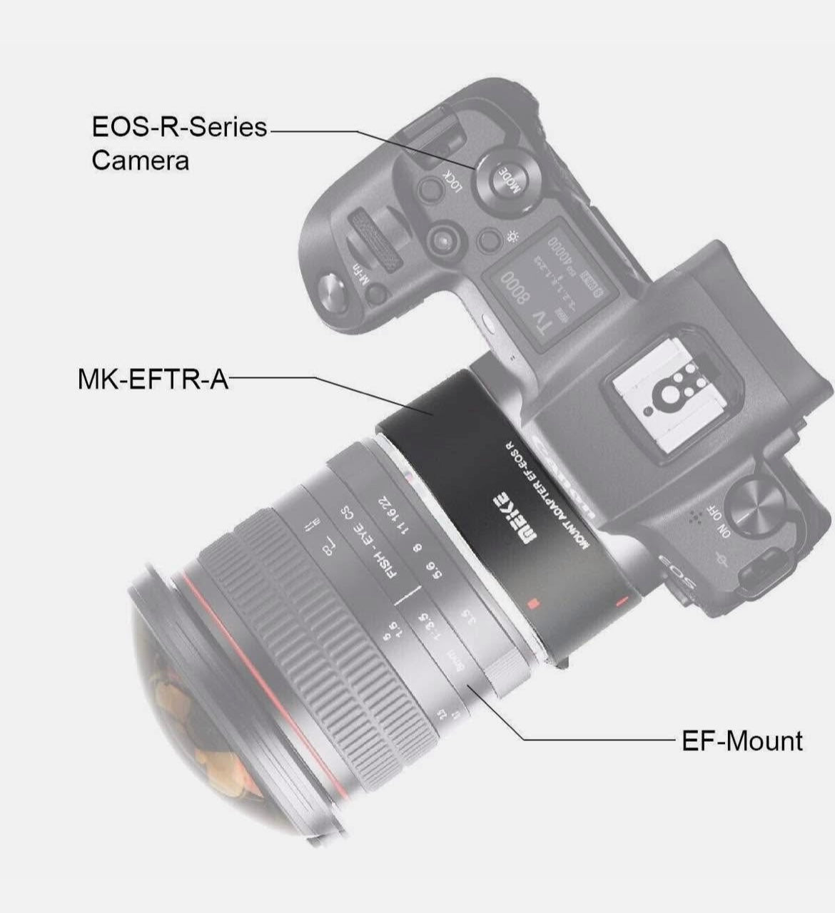 MEIKE MK-EFTR-A Auto Lens Adapter for Canon EF/EF-S/RF Lens to Canon EOS-R Mount