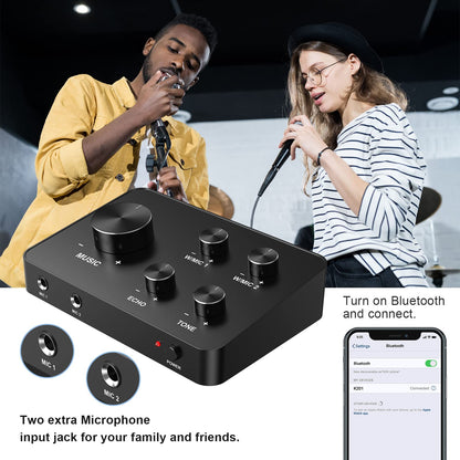 Rybozen Dual Handheld Wireless Microphone Karaoke Mixer System