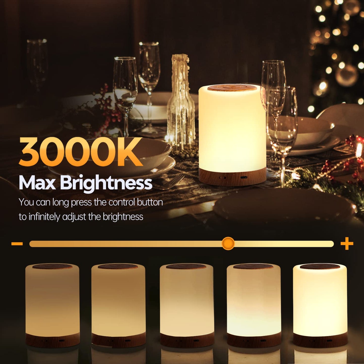 Aisutha LED Bedside Lamp Touch Dimmable with 10 Colours and 4 Modes