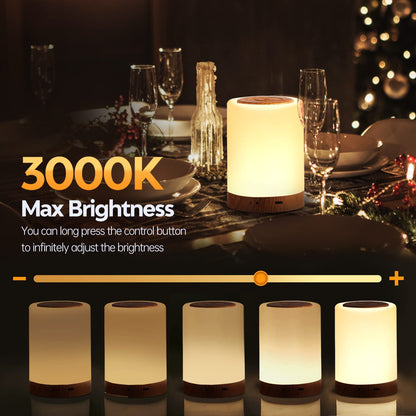 Aisutha LED Bedside Lamp Touch Dimmable with 10 Colours and 4 Modes